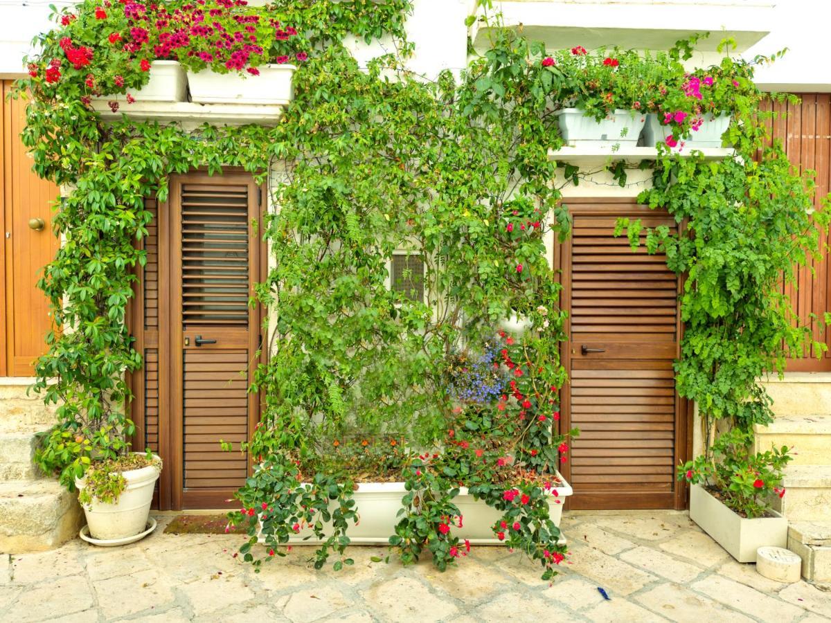 Youse - Your House In Locorotondo Διαμέρισμα Εξωτερικό φωτογραφία